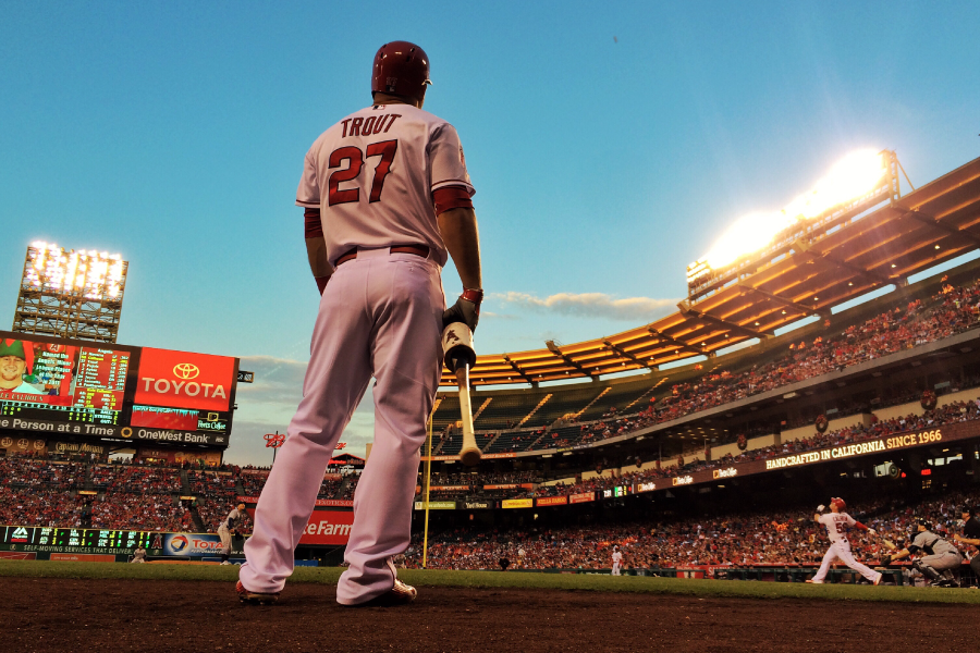 professional baseball player