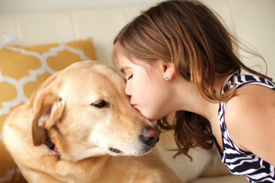 homemade toothpaste for dogs